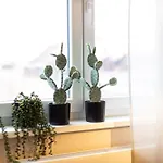 Apartmán Von Spears - Edles Design Mit Balkon Und Kostenloser Tiefgarage Im Neuseenland *