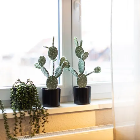 Apartmán Von Spears - Edles Design Mit Balkon Und Kostenloser Tiefgarage Im Neuseenland *