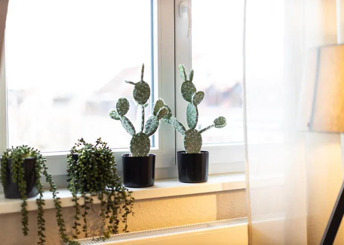 Apartment Von Spears - Edles Design Mit Balkon Und Kostenloser Tiefgarage Im Neuseenland *